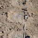 Image for article titled These are the oldest human footprints ever found in North America